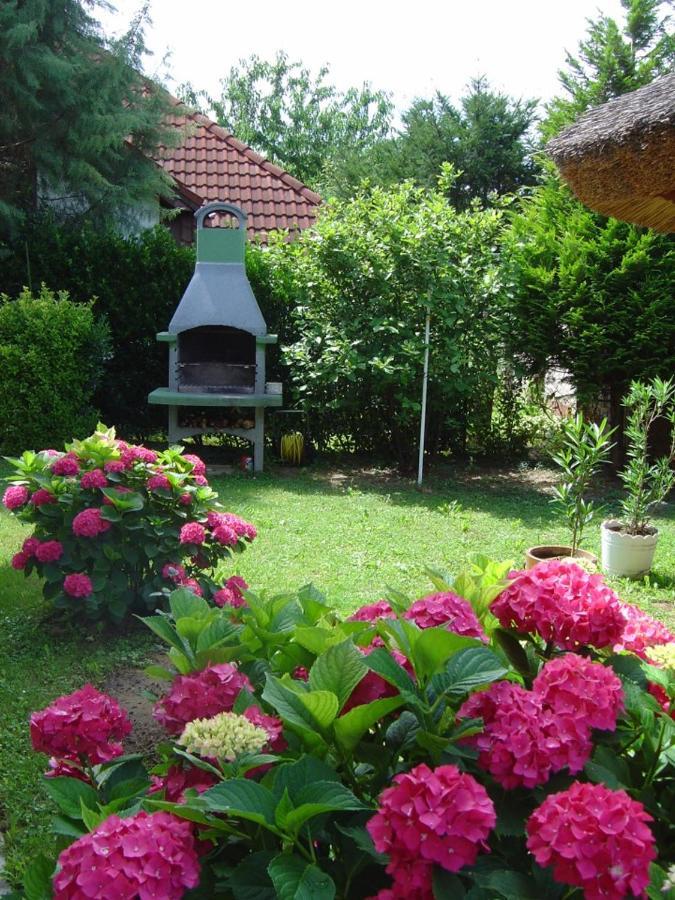 Rubin Apartman Zalakaros Εξωτερικό φωτογραφία